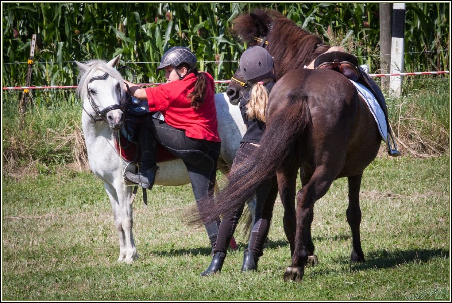 Mounted Games 051